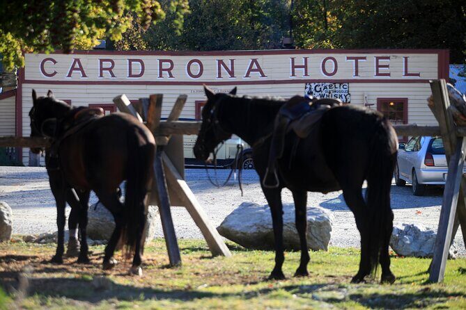 Cardrona High Country Pub Trail Horse Trek (Intermediate level+) - The Practical Side: What You Need to Know
