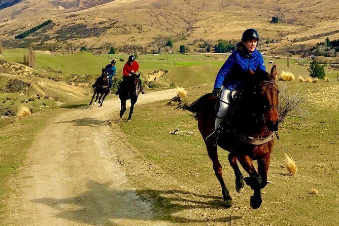 Cardrona High Country Pub Trail Horse Trek (Intermediate level+) - The Sum Up: A Scenic Ride with a Slice of History