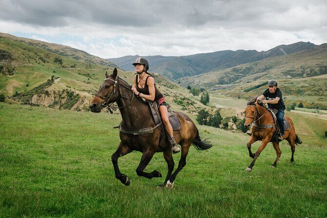 Cardrona High Country Pub Trail Horse Trek (Intermediate level+) - FAQs