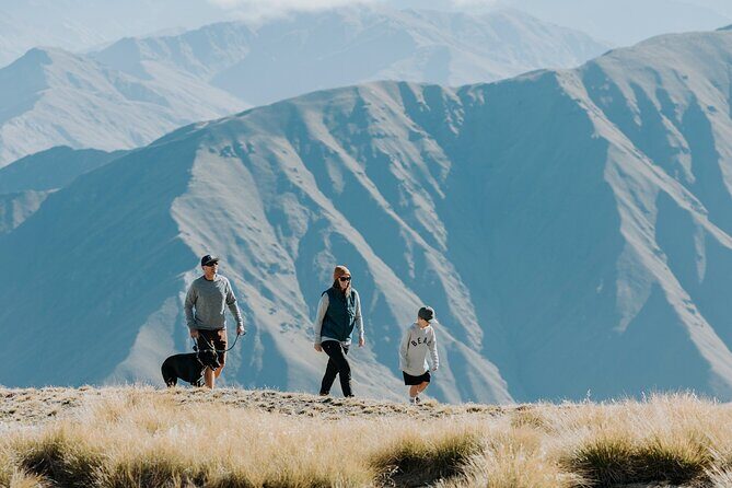 Cardrona Summer Gondola Sightseeing Pass - Practical Details and Tips