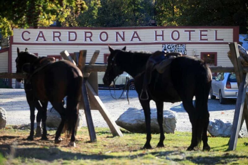 Cardrona Valley: Horse Trekking Experience - What Is the Cardrona Valley Horse Trekking Experience?