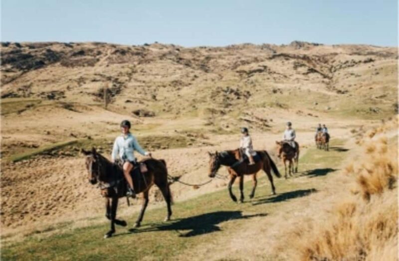 Cardrona Valley: Horse Trekking Experience - Who Will Love This Tour?