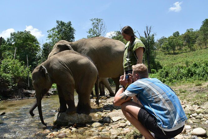 Care Pride Elephants: Full-Day Tour Experience - Authenticity and Ethical Focus