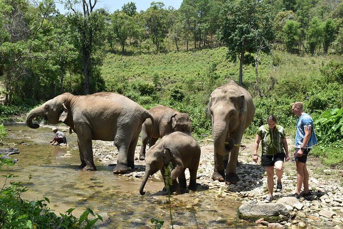Care Pride Elephants: Full-Day Tour Experience - Who Will Love This Tour?