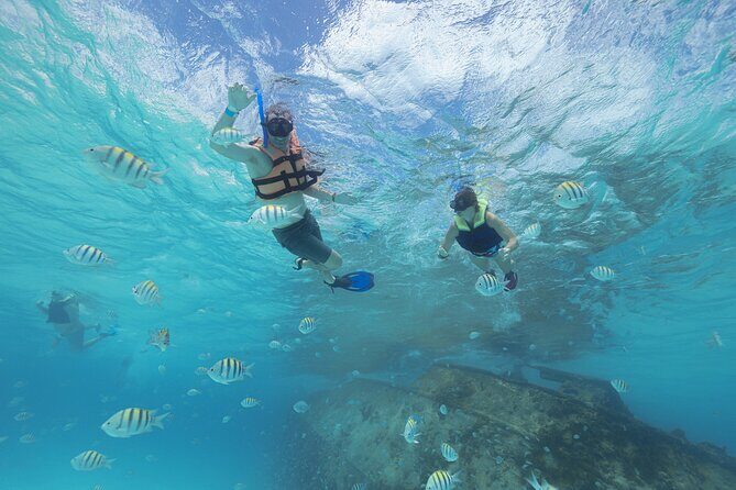 Caribbean Star Snorkeling Tour - The Itinerary: What to Expect from This 2-Hour Adventure