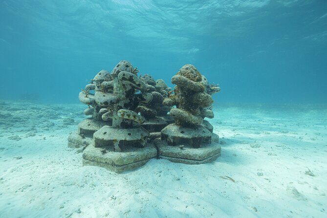 Caribbean Star Snorkeling Tour - Who This Tour Is Perfect For
