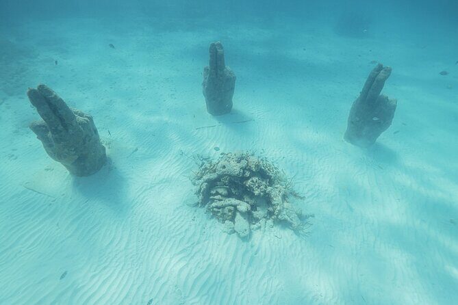 Caribbean Star Snorkeling Tour - The Sum Up: Is the Caribbean Star Snorkeling Tour Worth It?