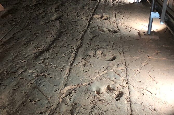 Carisbrooke Station and Dinosaur Stampede Day Tour from Winton - An In-Depth Look at the Winton Dinosaur Tour