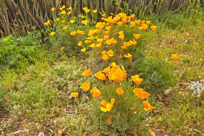 Carlsbad: A Self-Guided Walking Tour of the Village by the Sea - FAQ