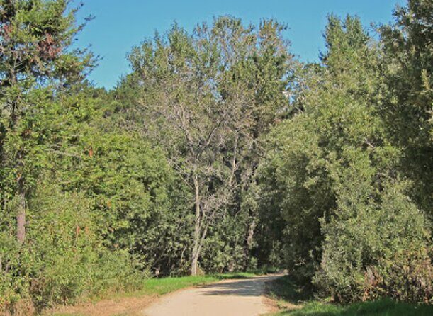 Carmel-by-the-Sea Mission Areas: A Self-Guided Audio Tour - The Practicalities