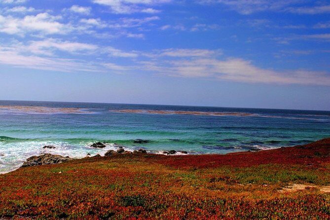 Carmel / Monterey Hwy 1 tour - An In-Depth Look at the Carmel / Monterey Highway 1 Tour