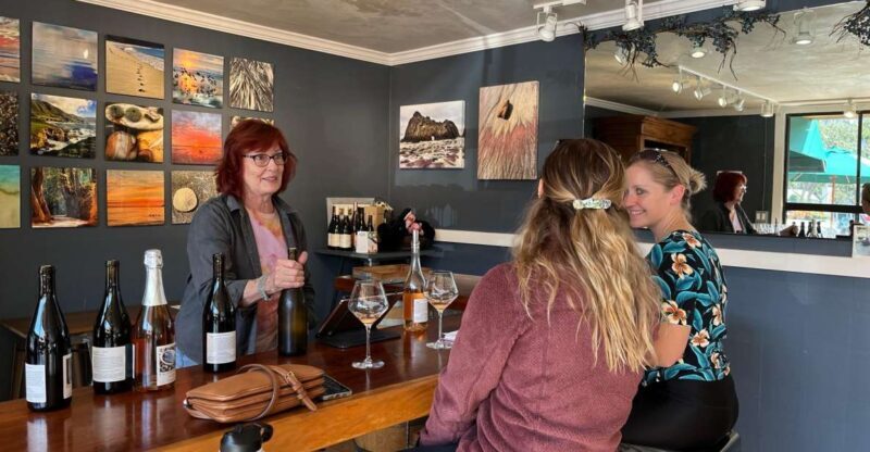 Carmel Valley Village: Wine Tasting Tours in a 1970 VW bus. - Who Is This Tour Best For?