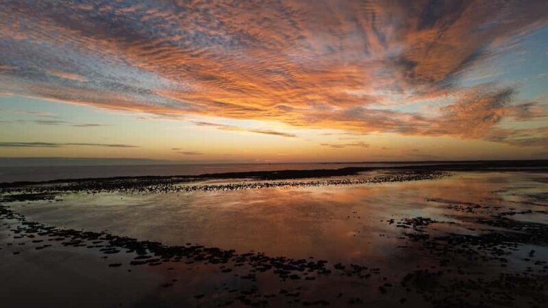 Carnarvon: Indigenous Guided Sunset Walk - Wildflowers and Seasonal Beauty