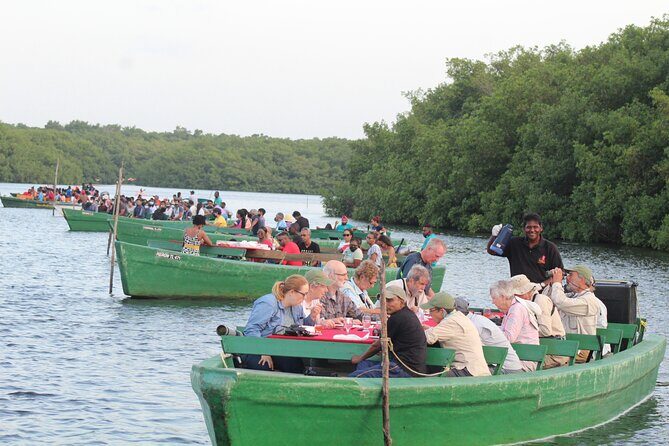 Caroni Bird Sanctuary Tour - What to Expect and How to Prepare