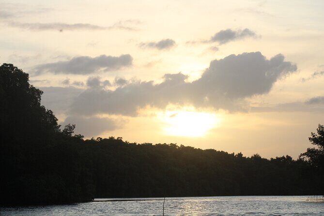 Caroni Bird Sanctuary Tour - FAQ