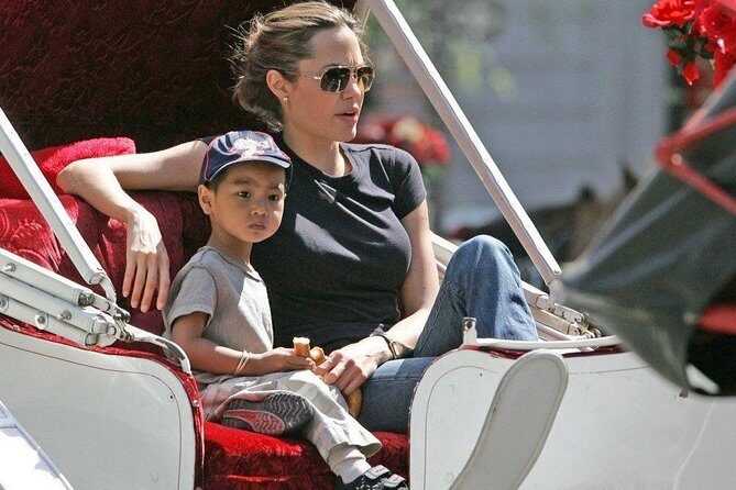 Carriage Ride in Central Park (VIP - PRIVATE) Since 1964 - Practical Details: What You Need to Know