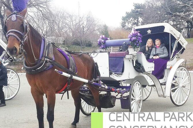 Carriage Ride in Central Park (VIP - PRIVATE) Since 1964 - The Sum Up: Who Will Love This Experience?