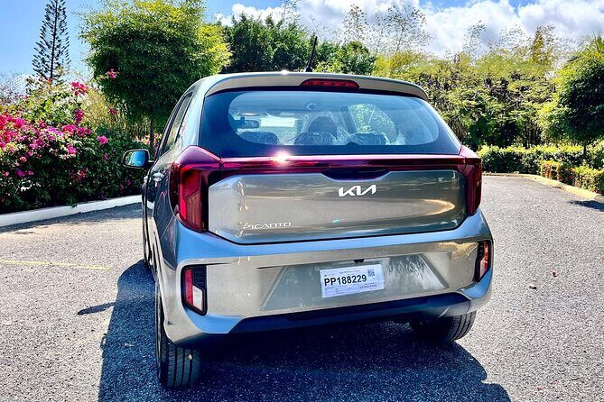 Cars for Rent in Punta Cana - What the Reviews Say