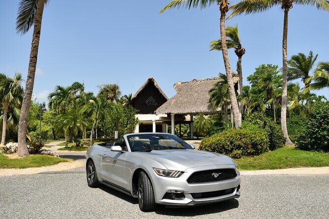 Cars for Rent in Punta Cana - The Value Proposition