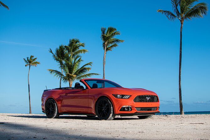 Cars for Rent in Punta Cana - Who Is This Experience Best For?