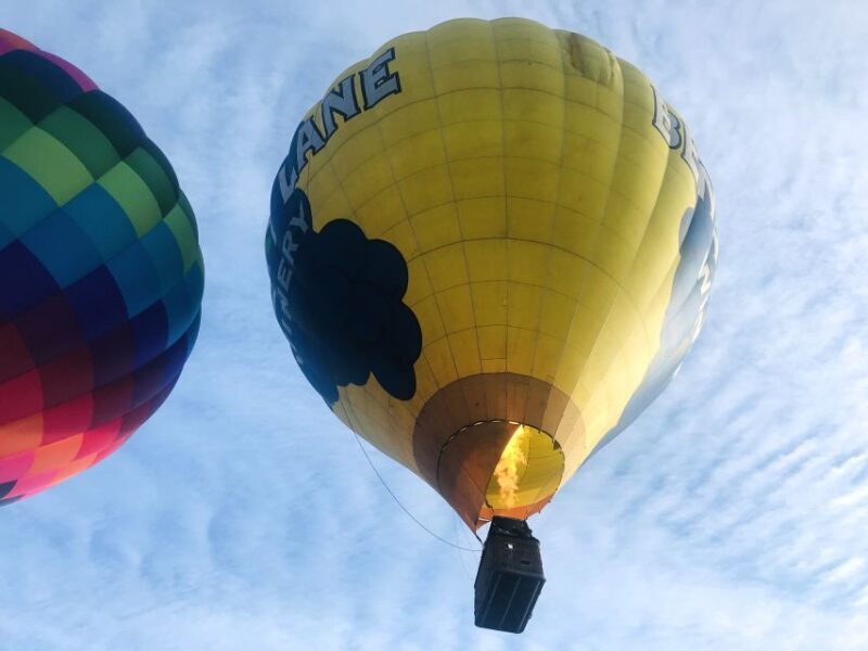 Carson City: Hot Air Balloon Flight - The Sum Up