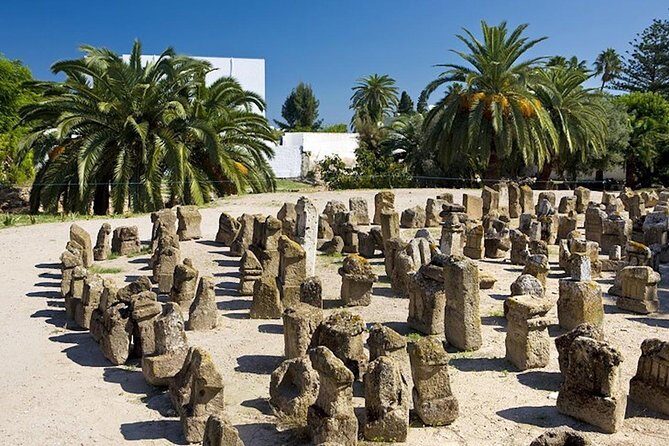 Carthage Discovery Half-Day Tour with Licensed Guide - A Close Look at the Itinerary