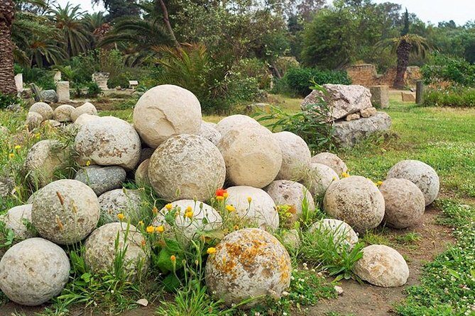 Carthage Discovery Half-Day Tour with Licensed Guide - The Sum Up