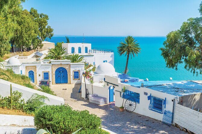 Carthage, Sidi Bousaid, and La Médina - An Overall Look at the Tour