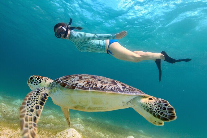 Cas Cay - Kayak Hike and Snorkel Adventure - The Hike on Cas Cay: An Up-Close Look at Island Life