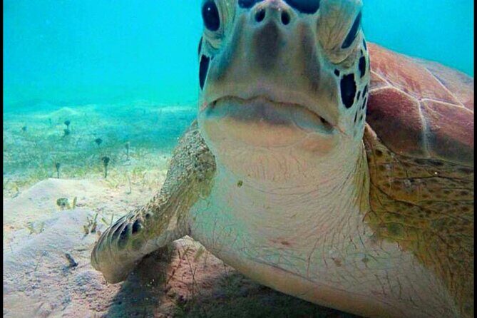 Cas Cay - Kayak Hike and Snorkel Adventure - Authentic Experiences and Real Guest Feedback