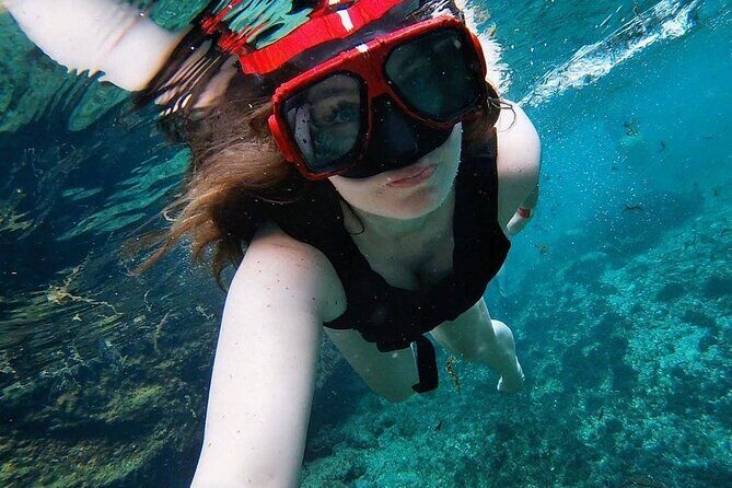 Casa Tortuga Eco Cenote Park+ Tulum Ruins! From Cancun & Playa Del Carmen - Authenticity and Traveler Experience