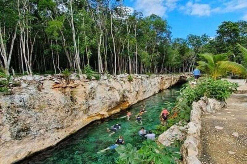 Casa Tortuga Park: Cenote Tour - Key Points