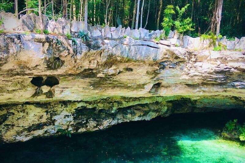 Casa Tortuga Park: Cenote Tour - Exploring the Cenotes and Their Surroundings