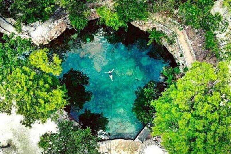 Casa Tortuga Park: Cenote Tour - What to Expect During the Tour