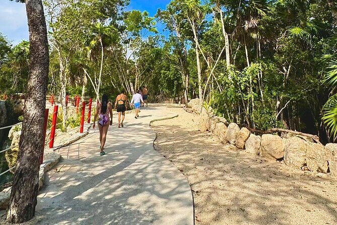 Casa Tortugas cenotes, Tulum Mayan site and Madre Naturaleza tour - The Sum Up