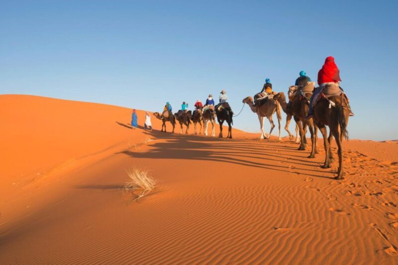 Casablanca: 6 Days Tour Blue City, Fes, Desert & Marrakech - Authentic Experiences and Real Traveler Feedback