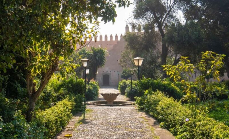 Casablanca and Rabat Private Day Tour - Who Should Consider This Tour?