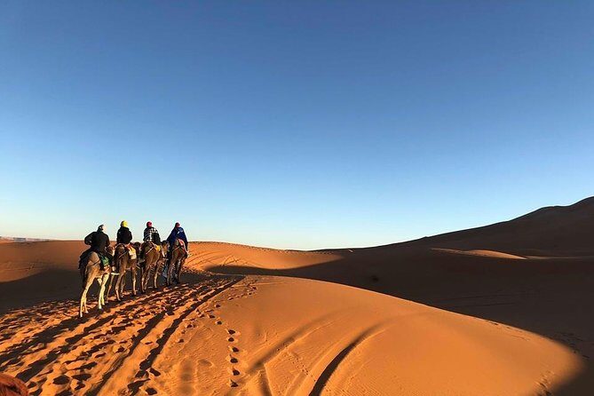 Casablanca Mountains & Desert Safari - Who Would Love This Tour?