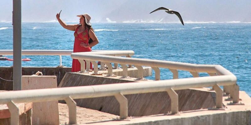 Casablanca: Private Guided Tour with lunch - Quartier Habous – Traditional Charm and Crafts