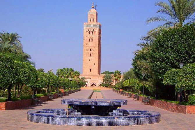 Casablanca to Marrakech Day Trip with Camel Ride - An In-Depth Look at the Tour Itinerary