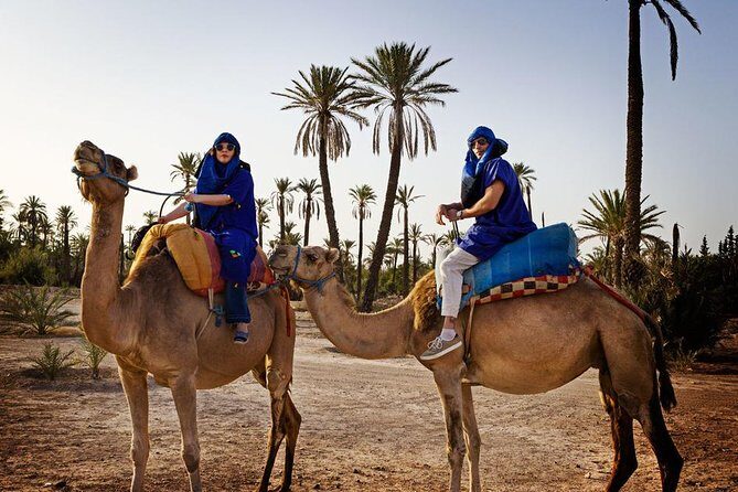 Casablanca to Marrakech Day Trip with Camel Ride - FAQs