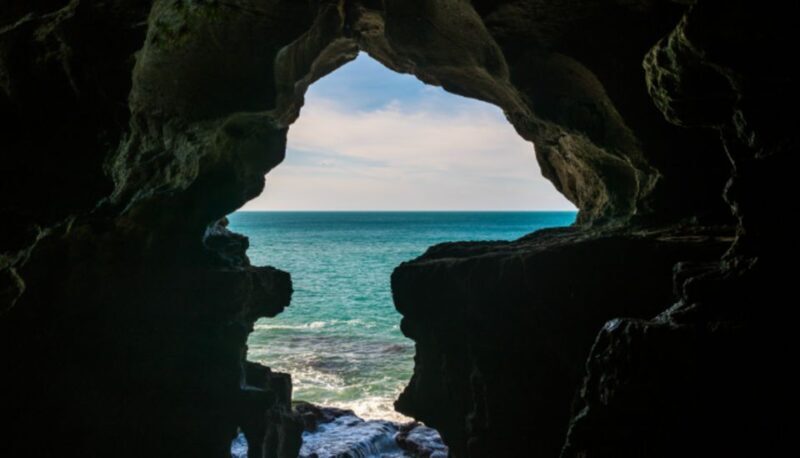 Casablanca to Tangier Guided Day Trip By High-Speed Train - Pricing and Value