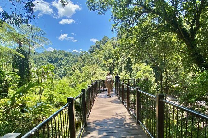 Cassowary Coast Goondoi Culture Tour - Who Should Consider This Tour