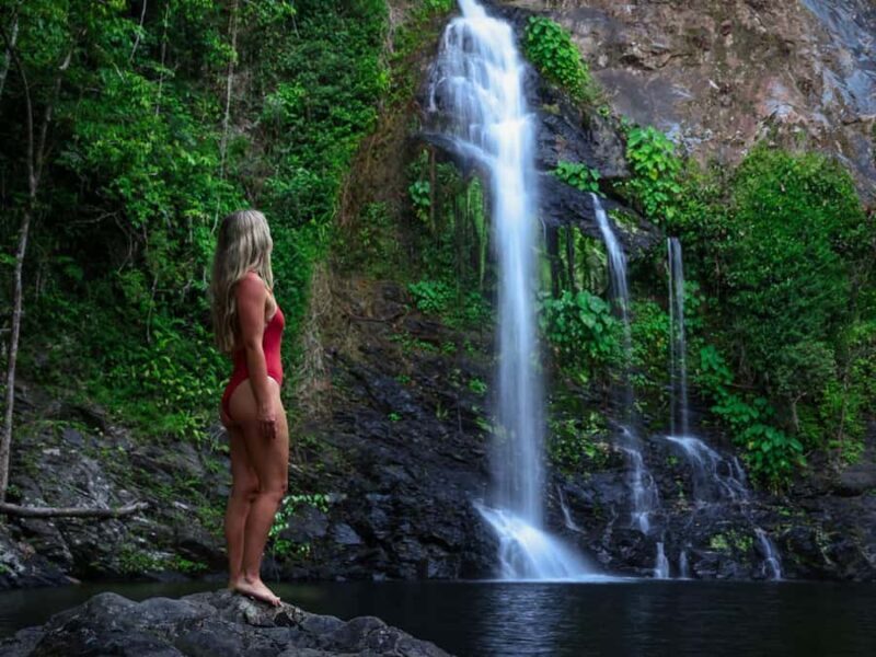 Cassowary Falls Adventure Tour - Daintree Rainforest - Introduction
