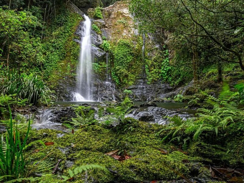 Cassowary Falls Adventure Tour - Daintree Rainforest - Key Points