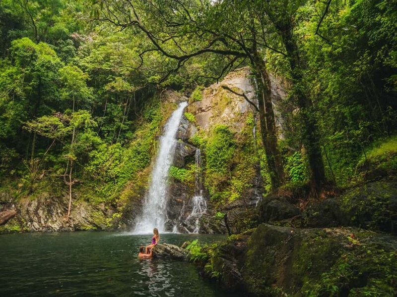 Cassowary Falls Adventure Tour - Daintree Rainforest - What Sets This Tour Apart