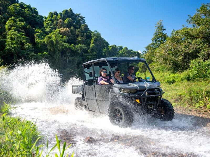 Cassowary Falls Adventure Tour - Daintree Rainforest - FAQs