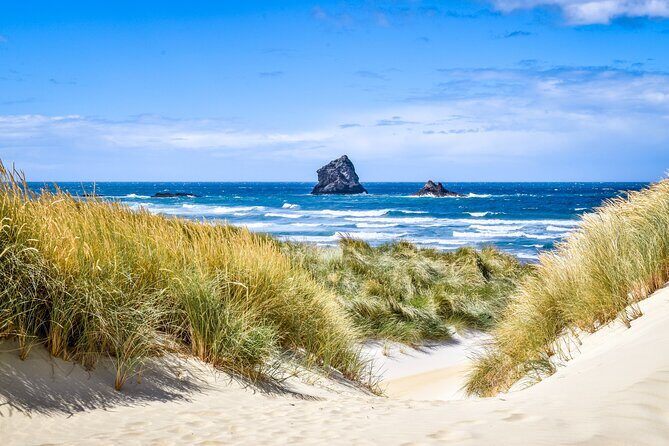 Castle, Coast & City Tour - 8 pax max - Castle Entrance Included - Key Points