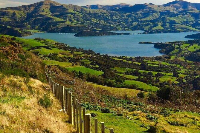 Castle Hill & Arthur Pass Day Trip From Christchurch - FAQ Section