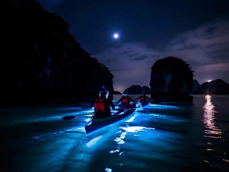 Cat Ba: 2-Day Lan Ha Bay Cruise with Plankton Excursion - A Detailed Look at the Experience